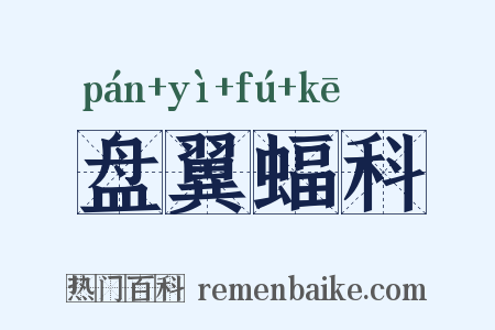 盘翼蝠科是什么意思的图片